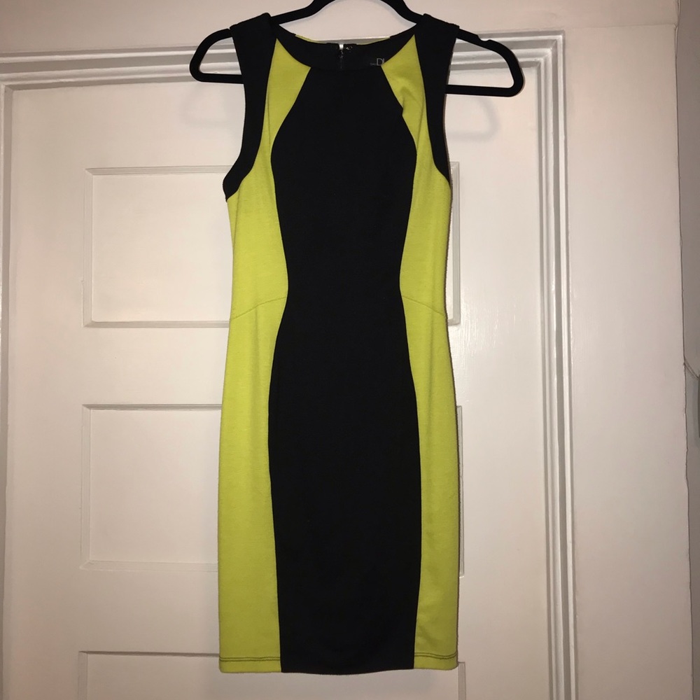 David Lerner dress